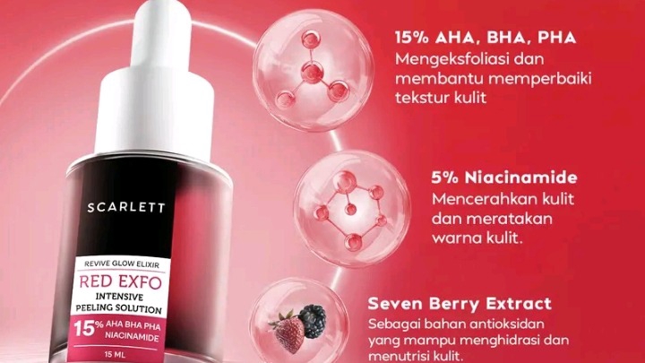 Jasa Desain Logo Online untuk Berbagai Kebutuhan - Expo peling scarlet