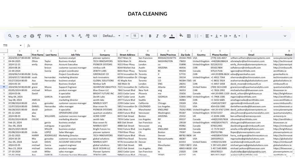 Data Cleaning