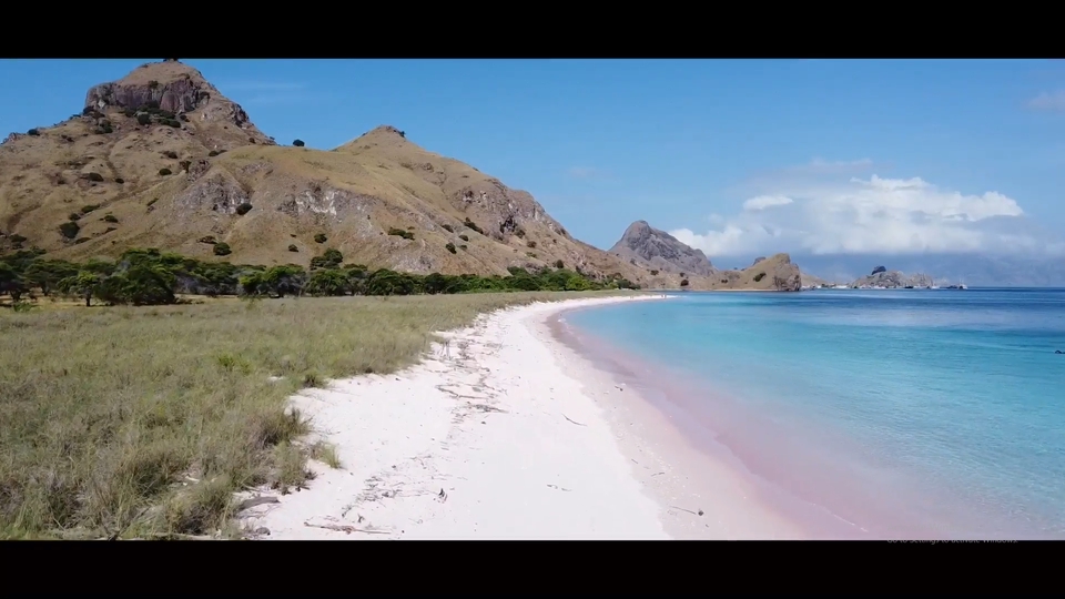 Video Editing - JASA VIDEO EDITING JADI SESUAI DEADLINE! - 7