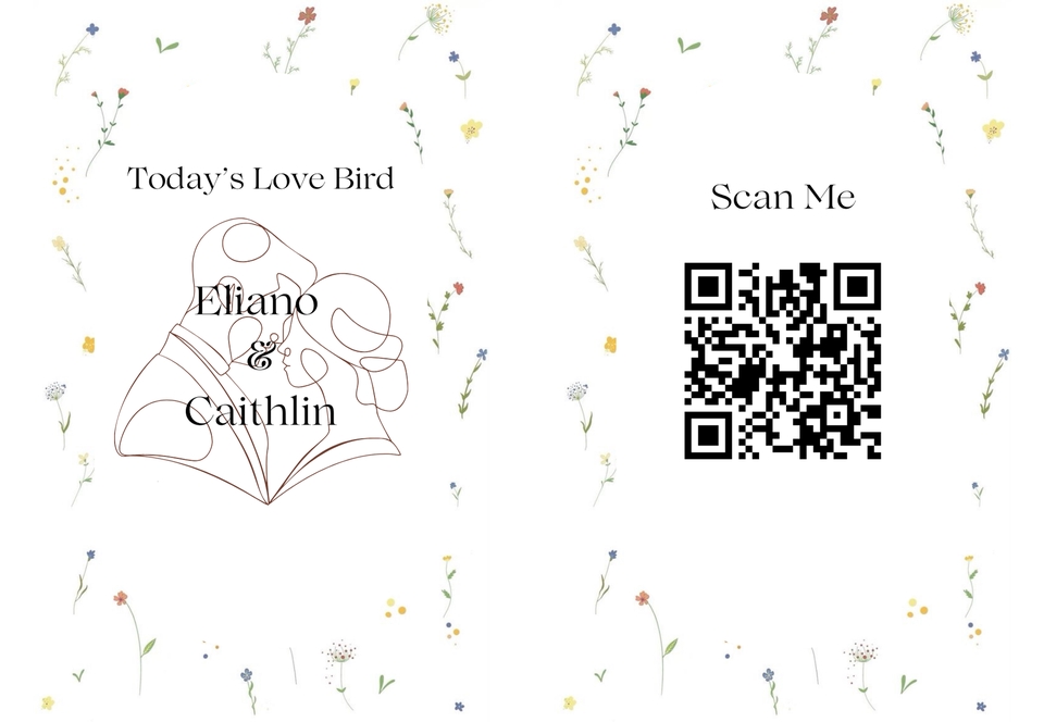 Canva - Canva Designer - 30