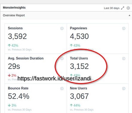 Search Engine Optimization (SEO) - Jasa SEO WordPress: On-Page + 130 Backlinks - 4