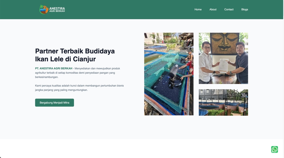 Jasa Pembuatan Website Profesional - Landing Page, Company Profile, LSM, eCommerce