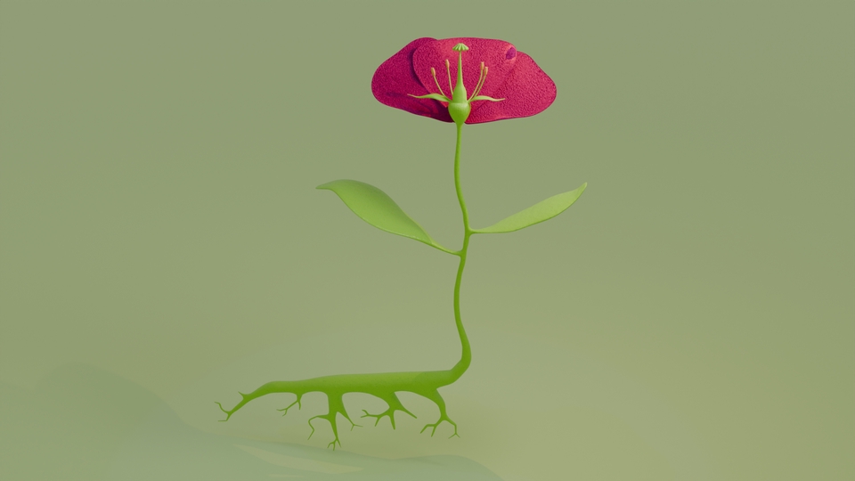 3D Model - 3d Modelling - 18
