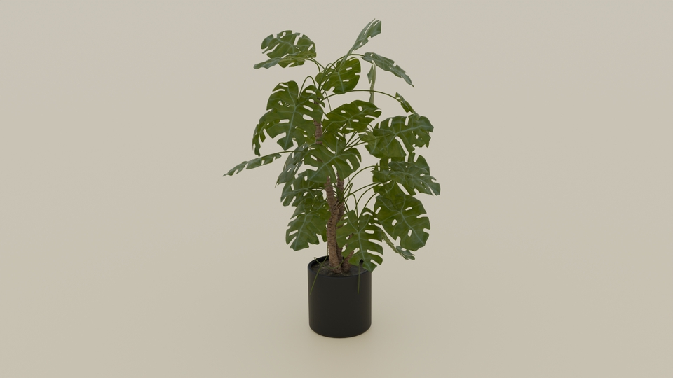3D Model - 3d Modelling - 9