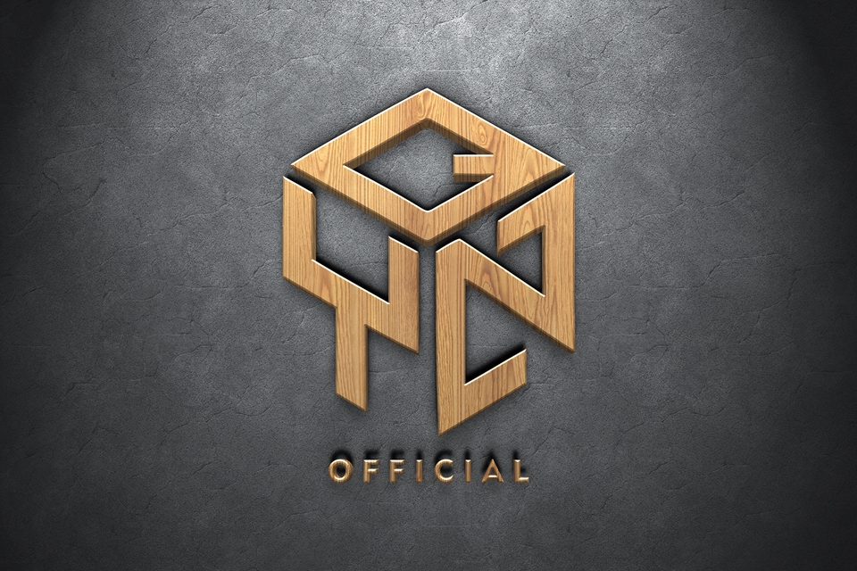 Logo - designer logo - 8