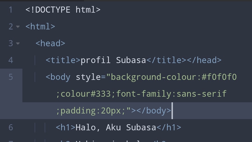 Jasa Lainnya di Web dan Pemrograman - Jasa Pembuatan Halaman Web Sederhana (HTML & CSS) + revisi gratis 2.Desain Canva 3.web biodata  