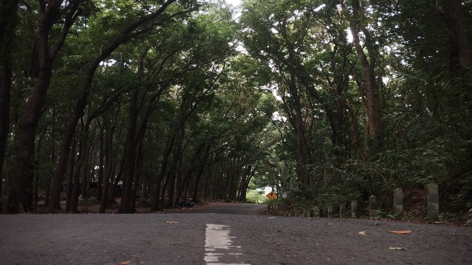 Jasa Desain Taman dan Landscape Menawan - Pemandangan