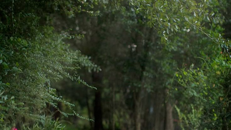 background alam sangat cocok untuk latar belakang ini karna menggambarkan keindahan dan ketenangan