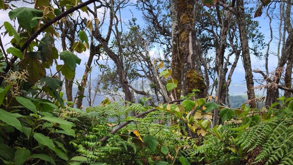 Jasa Membuat dan Meyusun Rencana Perjalanan Wisata - Cara gaya hidup traveling