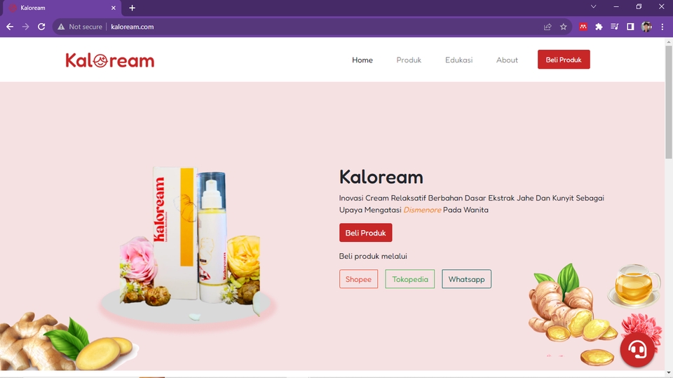 Web Development - Jasa Pembuatan Custom Request Website (HTML, CSS, JS (Next.js), dan PHP(Laravel, CI, native) - 14