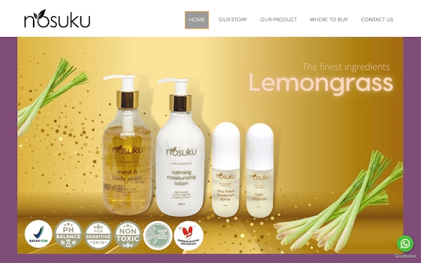 Web Development - Jasa pembuatan website wordpress ekspres untuk landing page, Company Profile - 15