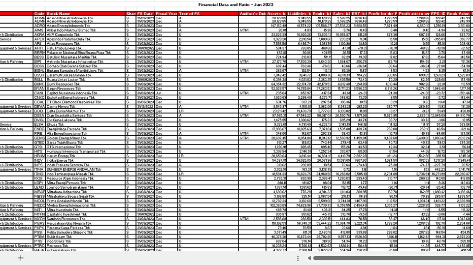 Financial Data Ratio