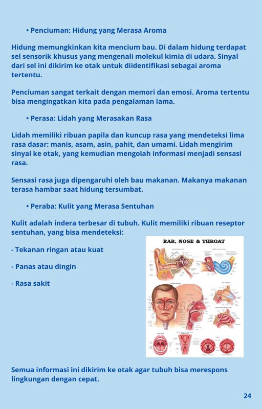 Penulisan Buku - Jasa pembuatan e-book dan worksheet profesional (pdf siap cetak dan digital) - 30