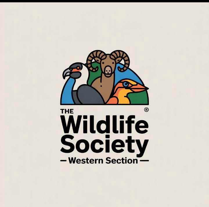 Logo - LOGO BRANDING - 2