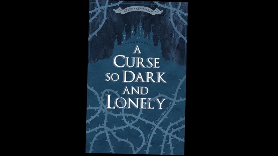 book cover ideas/designs