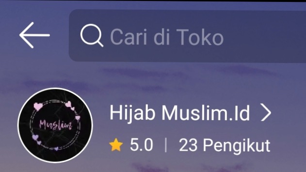 Jasa Admin Online Shop Shopee, Tokopedia, Lazada dan Lainnya - Admin E-commerce 