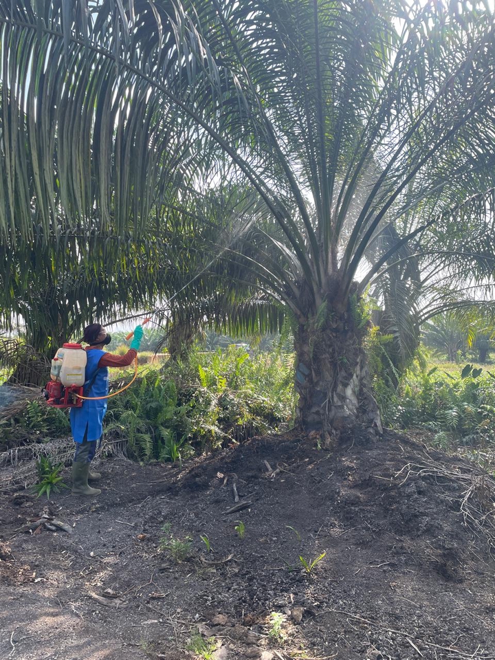 Jasa Lainnya - Agronomi Tanaman Perkebunan - 3