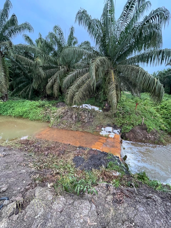 Jasa Lainnya - Agronomi Tanaman Perkebunan - 2