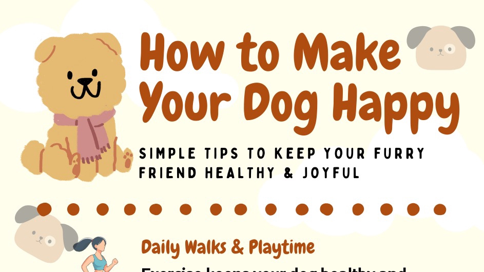 Infografis edukatif bertema tips membuat anjing bahagia, dengan desain lucu dan menarik.