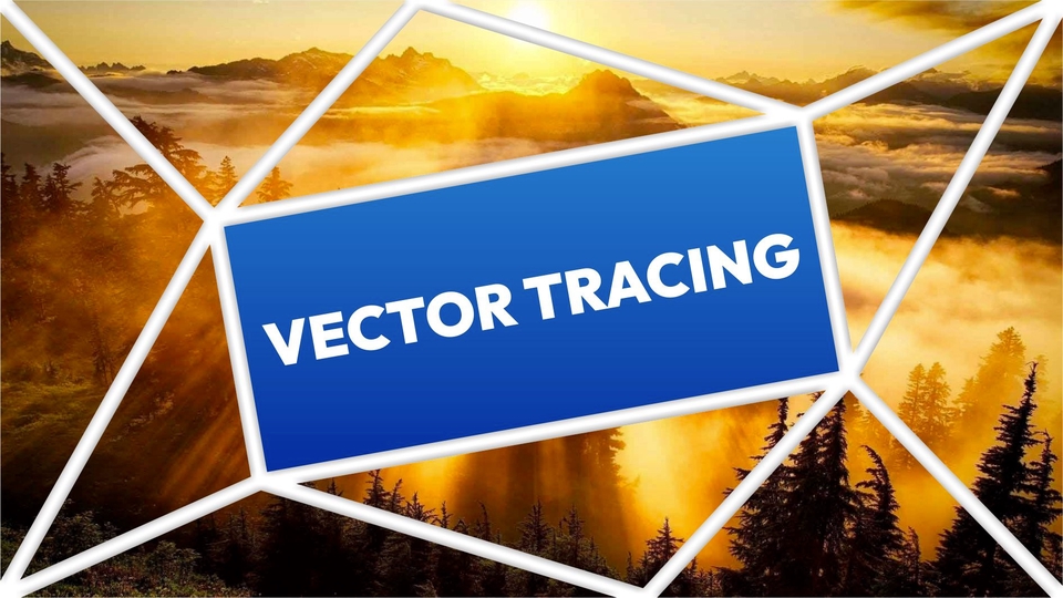 Jasa WhatsApp Blast untuk Sebar Iklan - JASA TRACING VEKTOR
