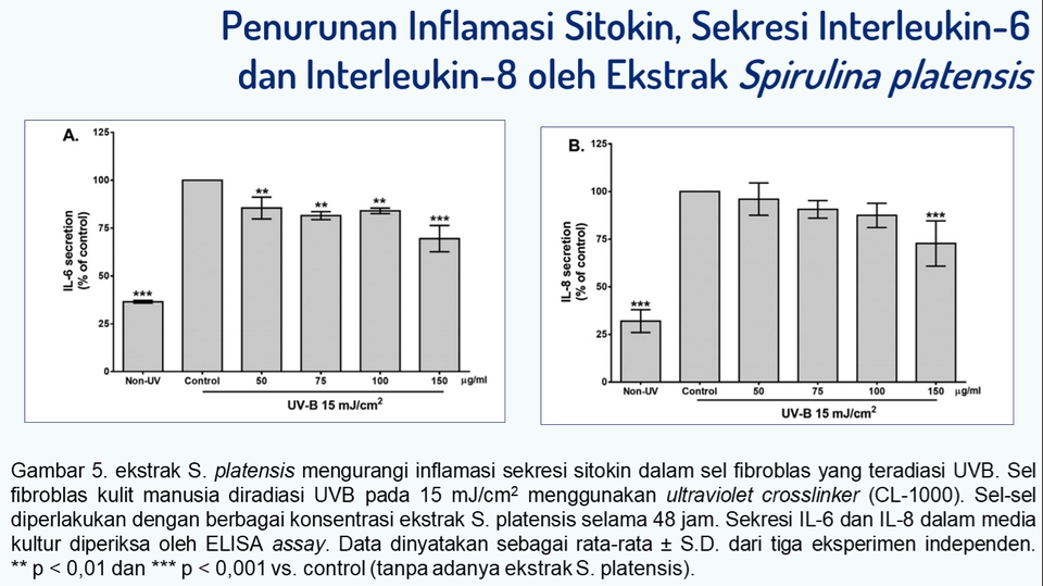 Presentasi - Jasa Pembuatan PowerPoint Profesional - 8