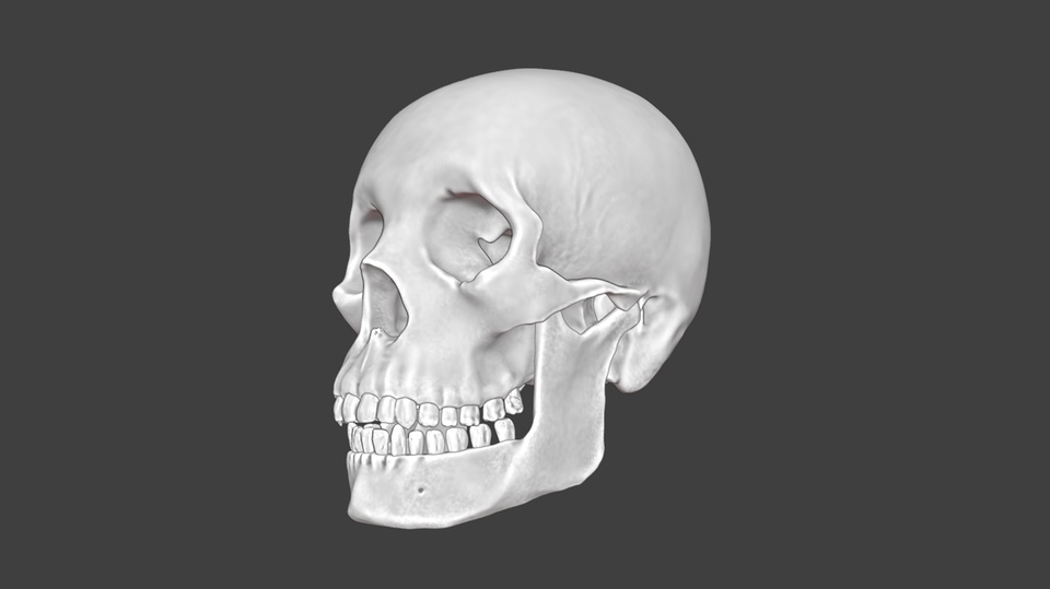 Jasa 3D Printing Online Terpercaya - 3D Printing Model Ready Design