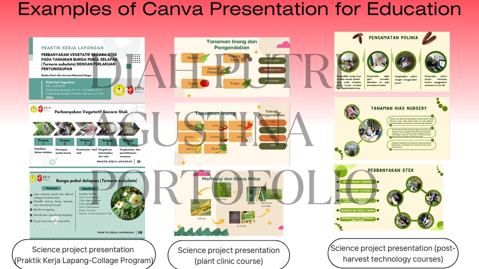 Jasa pembuatan presentasi materi/tugas dengan Canva