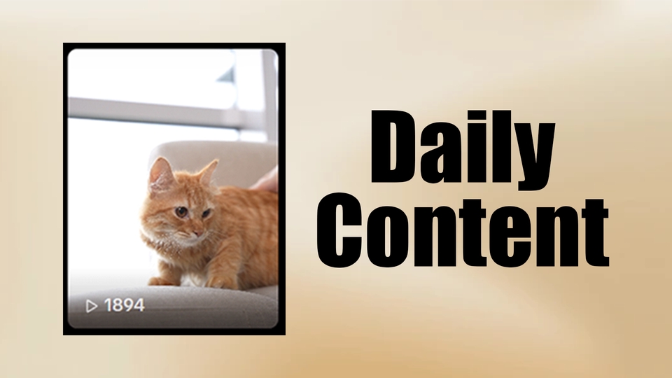 daily-content-ai