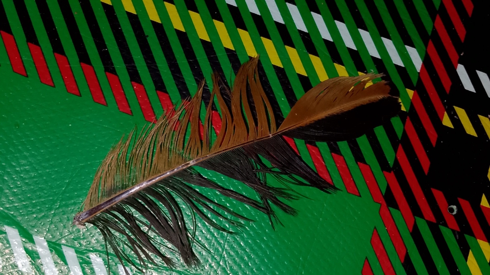 Jasa Desain Logo Online untuk Berbagai Kebutuhan - Buat logo