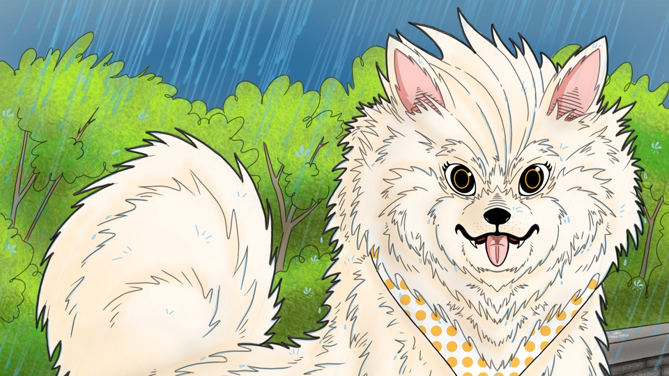 Desain Karakter - Desain Karakter Original Anime Style - 23