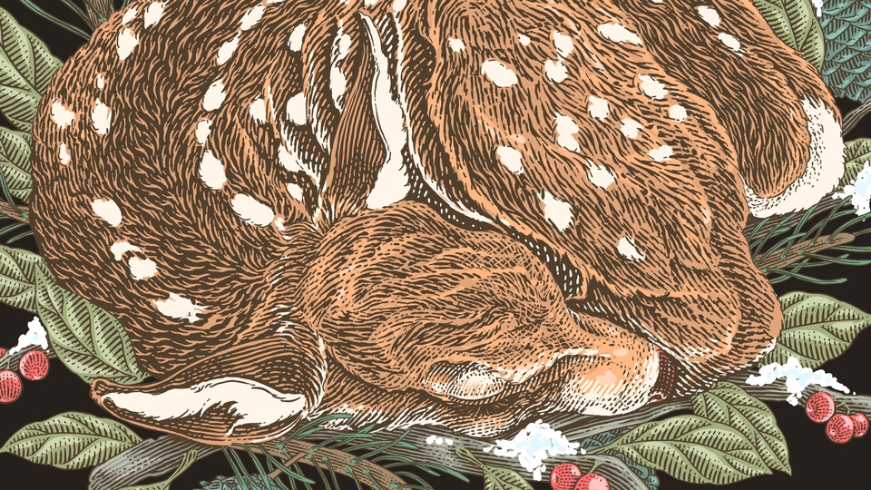 Gambar dan Ilustrasi - Ilustrasi Line Art / Engraving Art - 25