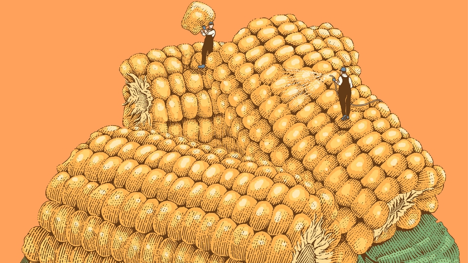 Gambar dan Ilustrasi - Ilustrasi Line Art / Engraving Art - 9