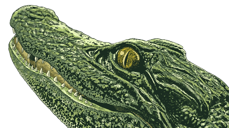 Gambar dan Ilustrasi - Ilustrasi Line Art / Engraving Art - 6