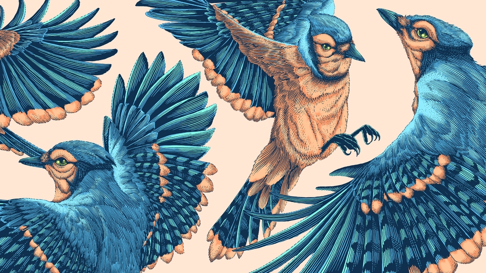 Gambar dan Ilustrasi - Ilustrasi Line Art / Engraving Art - 20