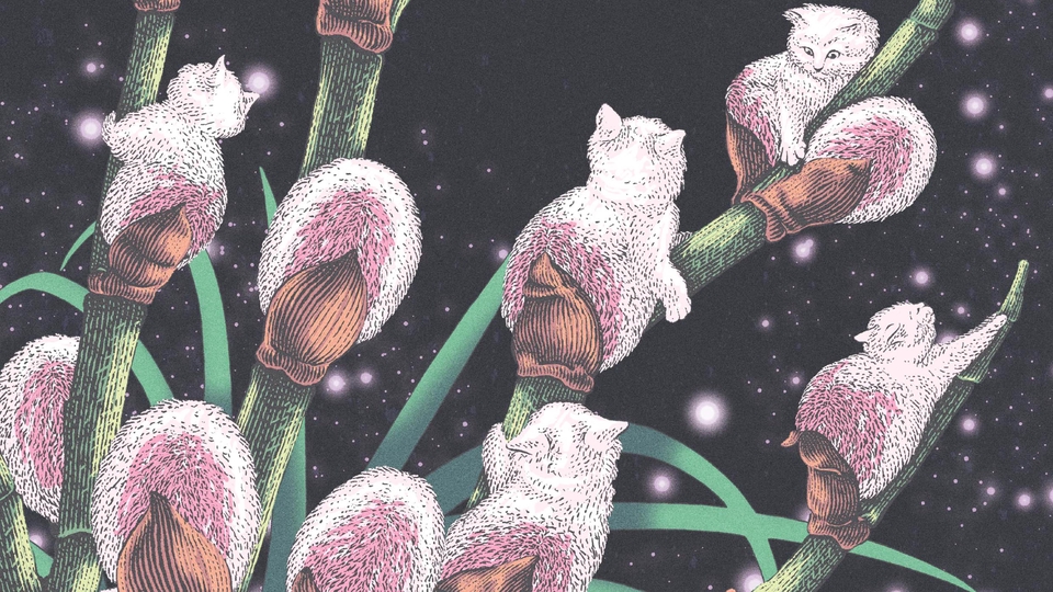 Gambar dan Ilustrasi - Ilustrasi Line Art / Engraving Art - 22