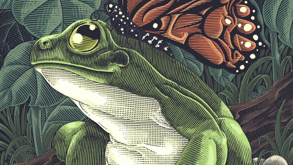 Gambar dan Ilustrasi - Ilustrasi Line Art / Engraving Art - 15