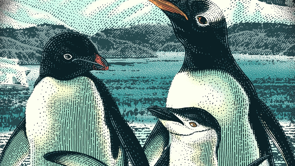 Gambar dan Ilustrasi - Ilustrasi Line Art / Engraving Art - 26