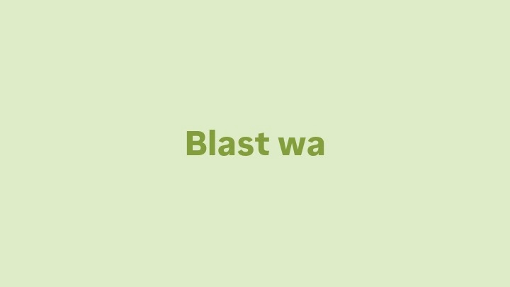 Jasa WhatsApp Blast untuk Sebar Iklan - blast wa
