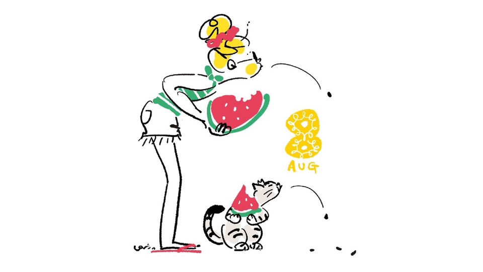 Translation & Interpretation