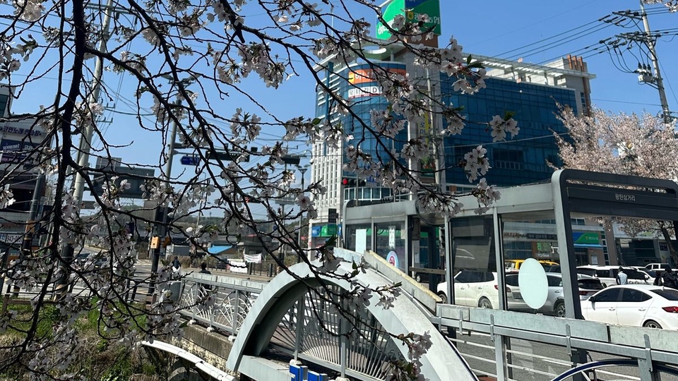 Jasa Desain Cover Album Musik Spotify maupun CD - Street