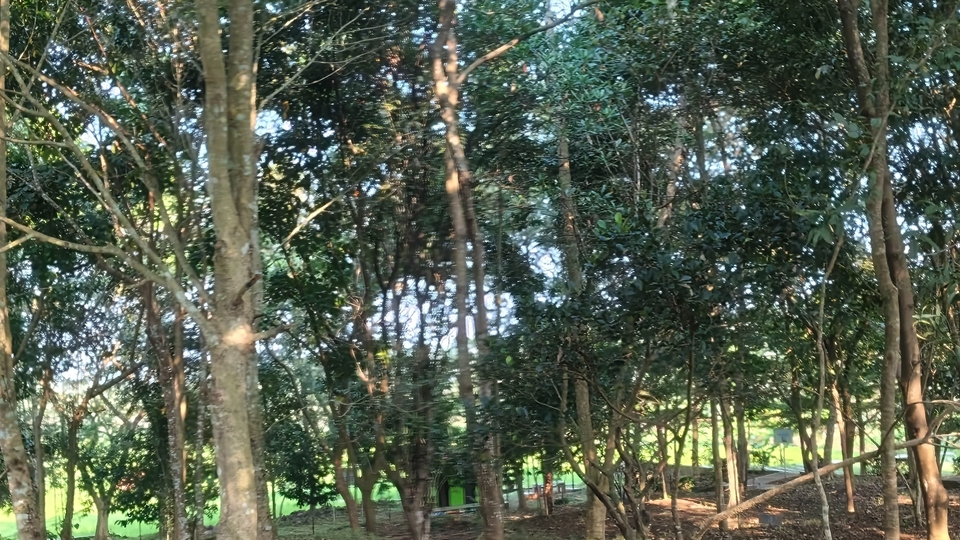 foto 3d