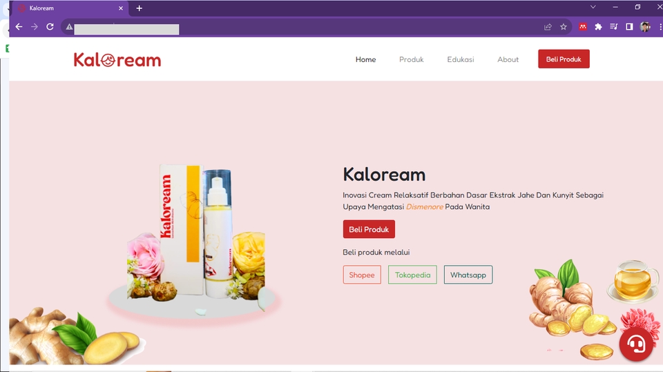 Web Development - Jasa Website Bisnis & Sekolah (Company Profile, LMS, Toko Online (eCommerce) & Custom) - 13