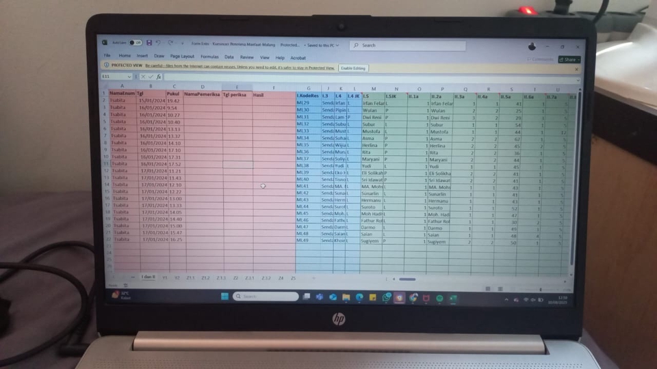 Data Entry Profesional (Input, Copy Paste, Format, Pengolahan Data by Excel & Google Sheet)