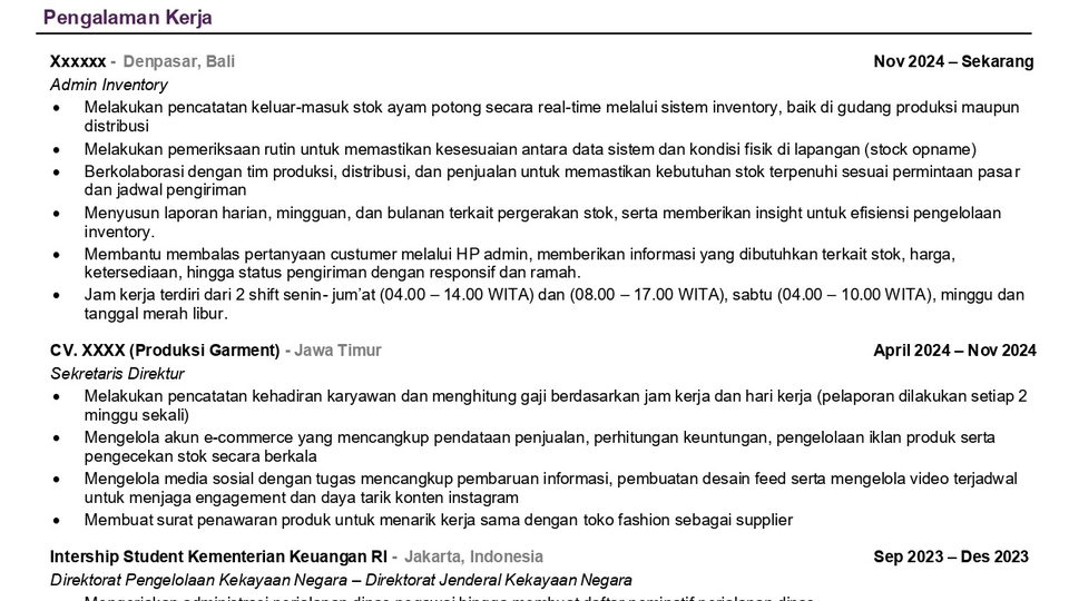 CV ATS PROFESIONAL