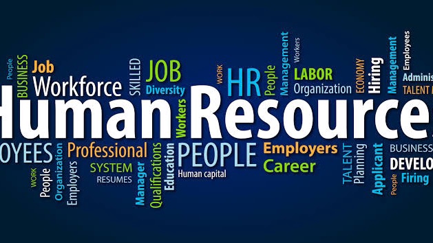 Recruiter - IT 