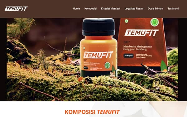 Web Development - Jasa Pembuatan Website Profesional Untuk perusahaan Sekolah Toko Online Desa Murah Berkualitas  - 10