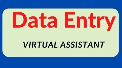 Data Entry / input 100 data
