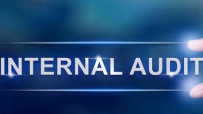 Jasa Internal Auditor