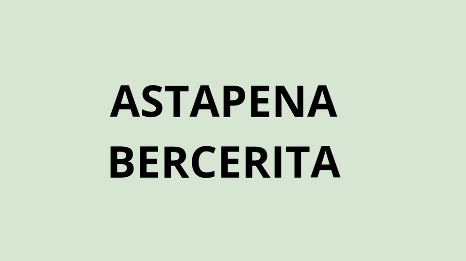Jasa Lainnya di Gaya Hidup - Astapena bercerita, ambil job bebas.
