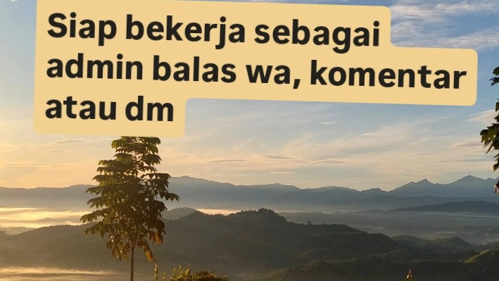 Jasa Admin Website, Media Sosial & Toko Online - Admin balas chat